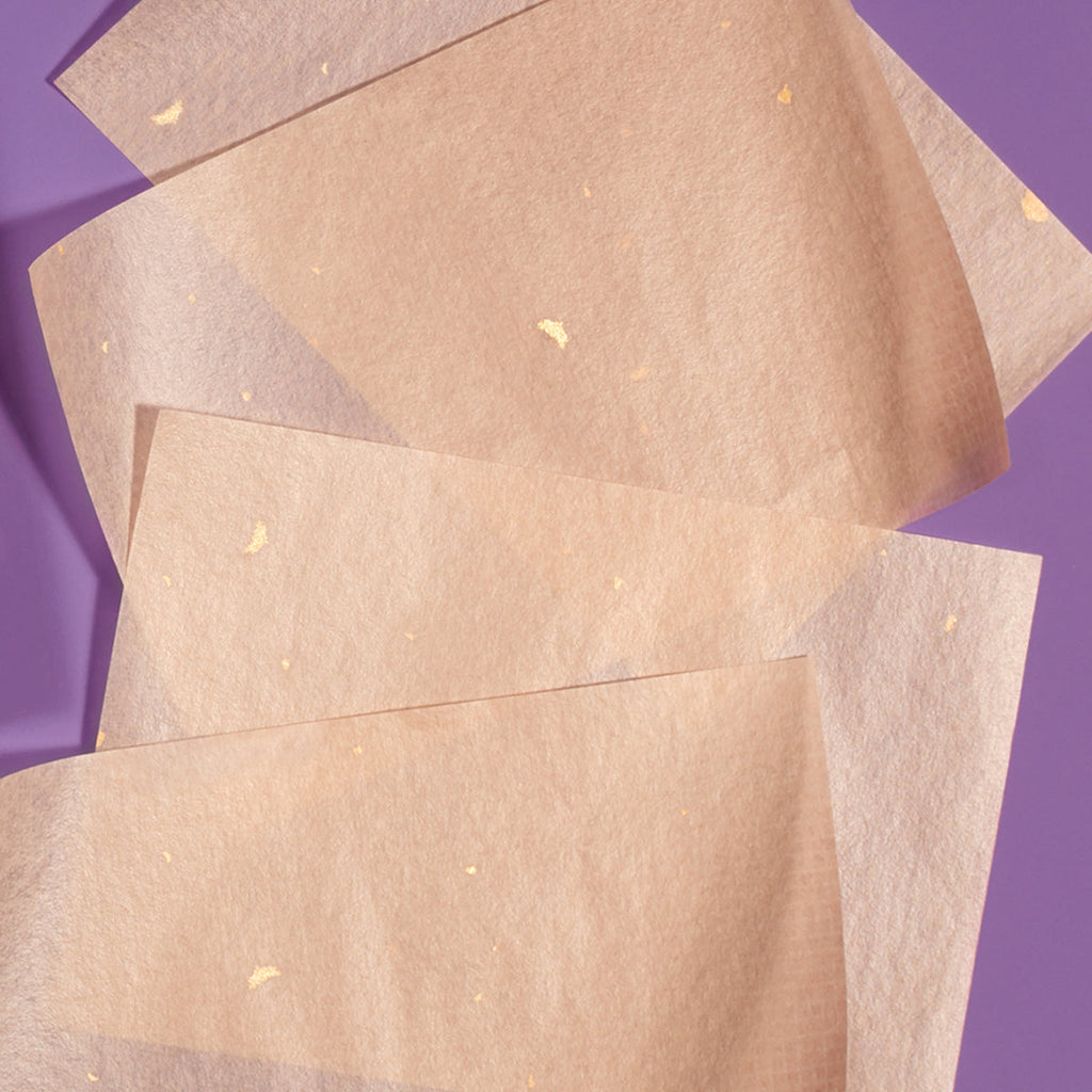 Aburatorigami Daily Blotting Papers for Combination to Oily Skin