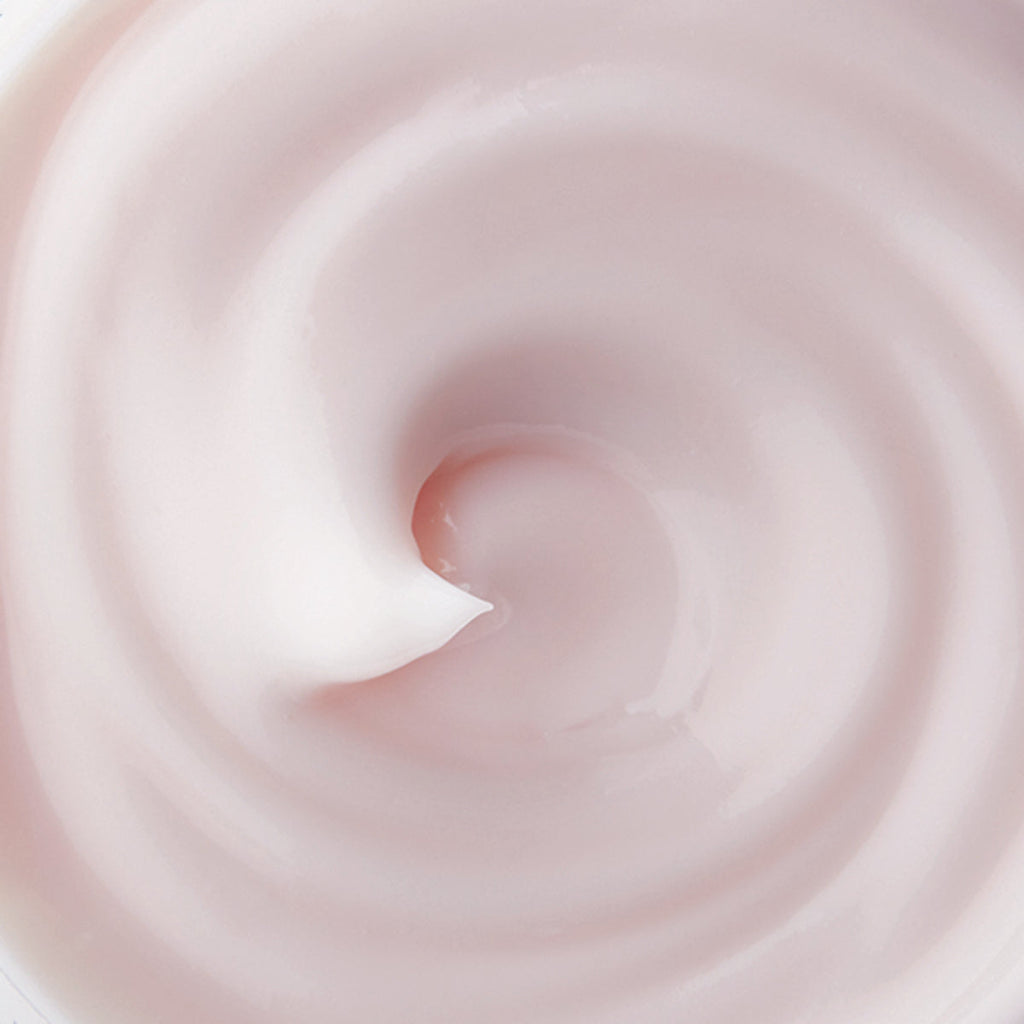 Ageless Enriching Renewal Cream Daily Face Cream for Moisture Support