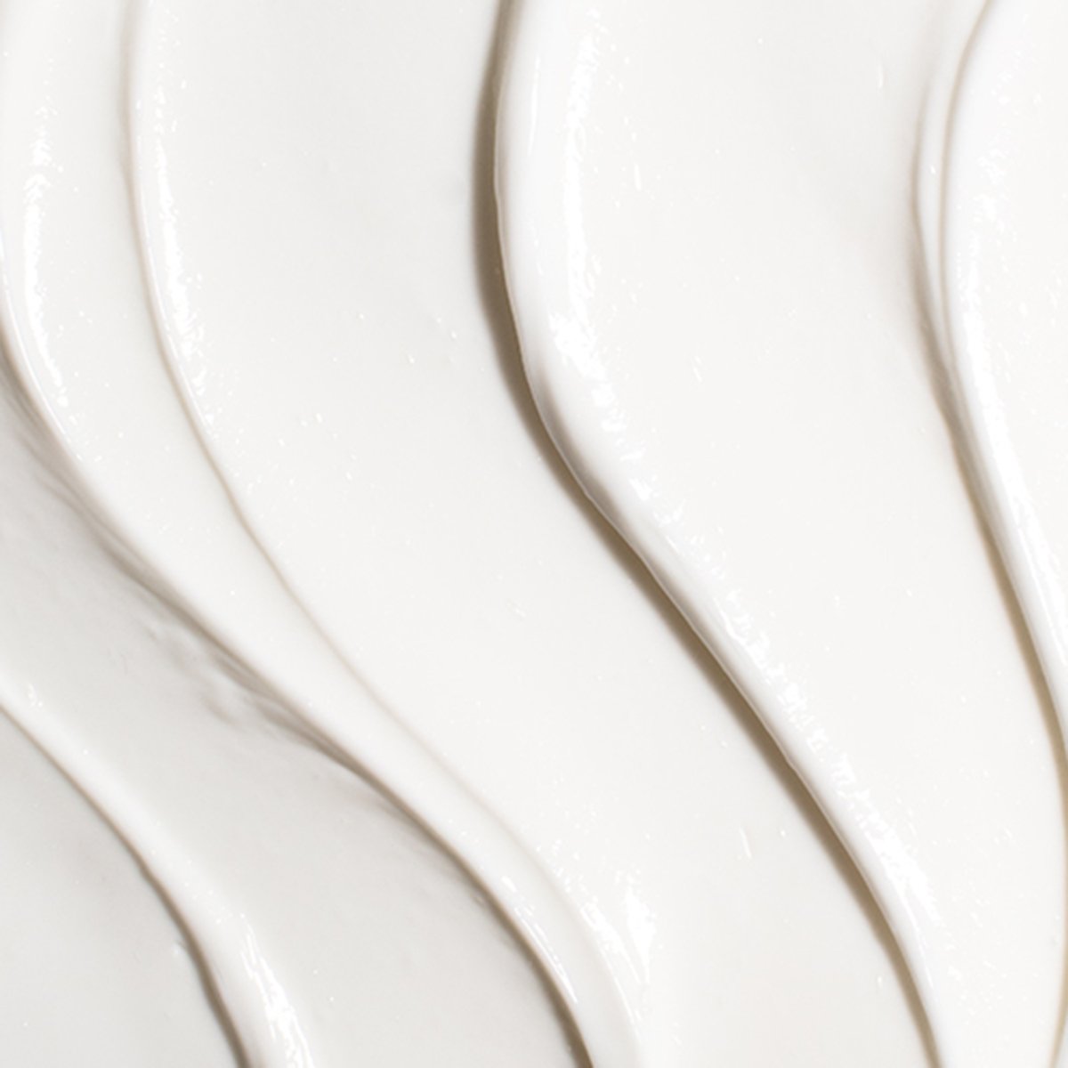 Ageless Revitalizing Neck Cream Daily Neck Cream for Moisture Support