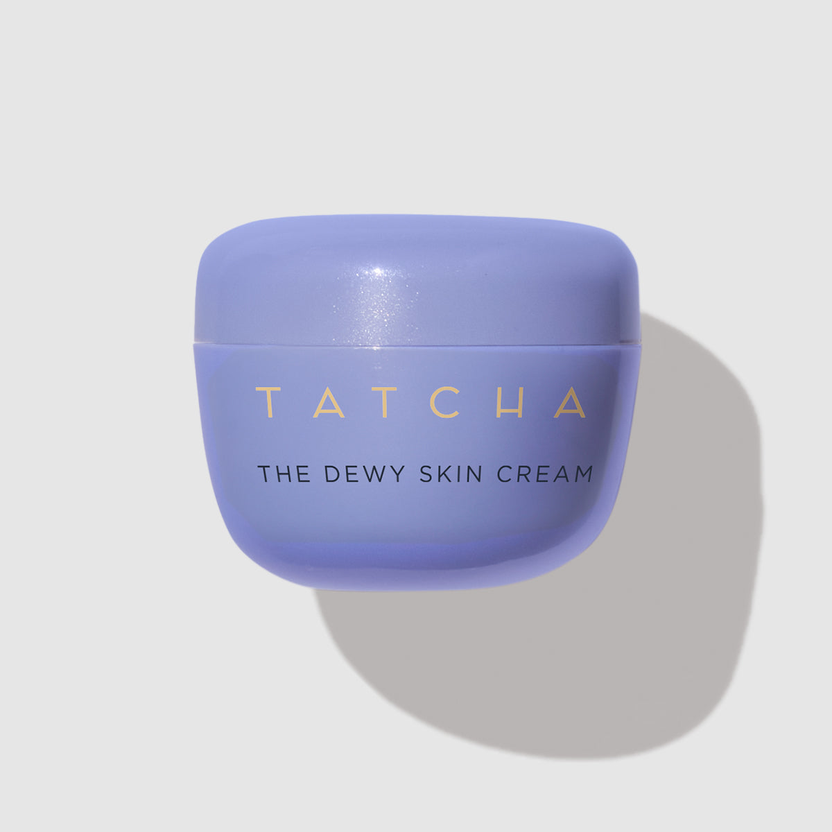 The Dewy Skin Cream Daily Face Cream for Dry Skin