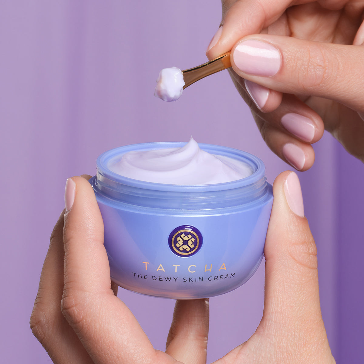 The Dewy Skin Cream Daily Face Cream for Dry Skin