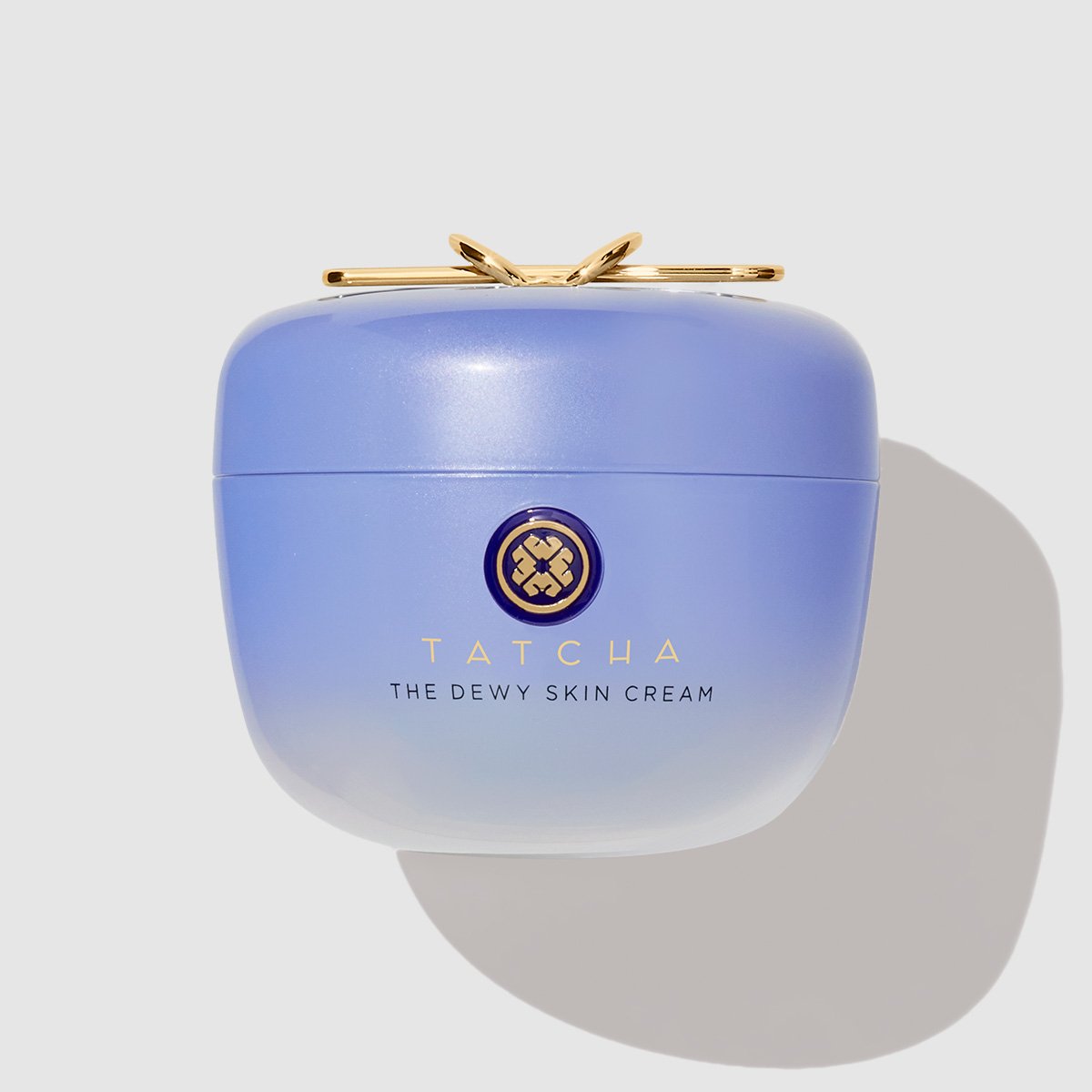 The Dewy Skin Cream Daily Face Cream for Dry Skin