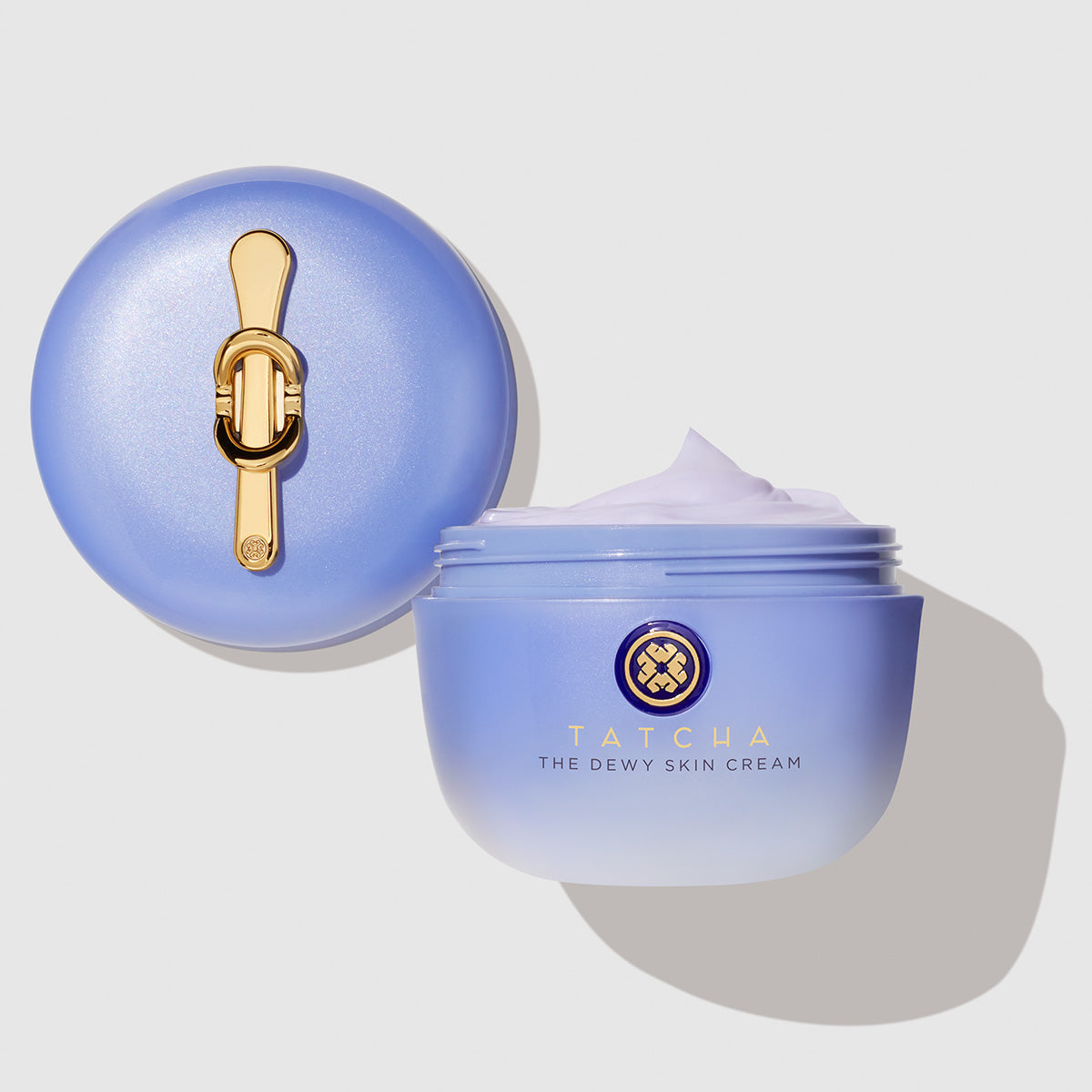 The Dewy Skin Cream Daily Face Cream for Dry Skin