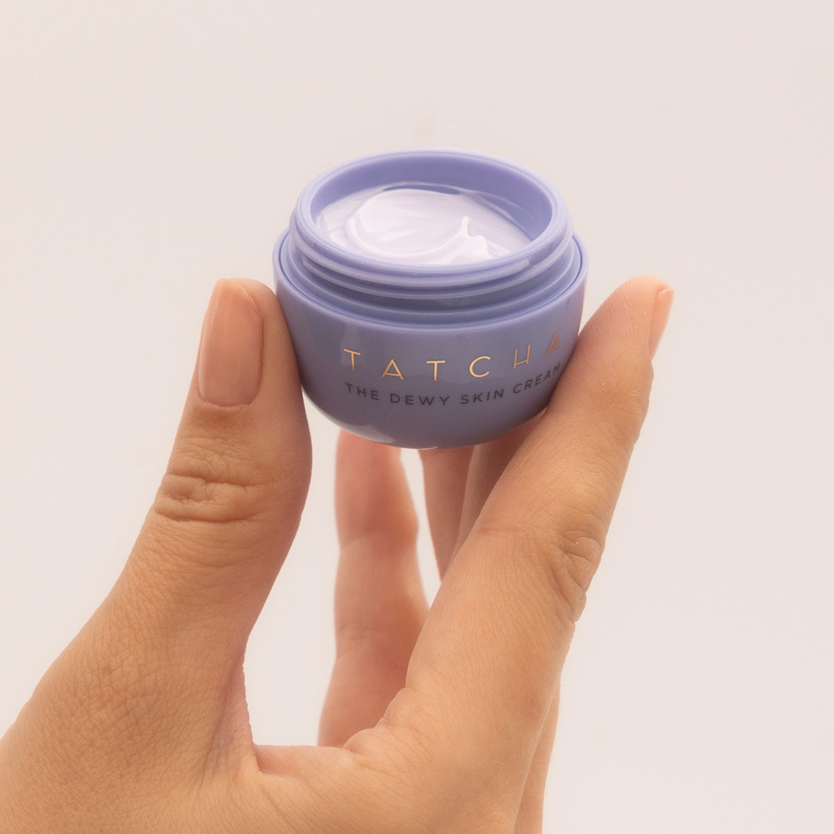 The Dewy Skin Cream Daily Face Cream for Dry Skin