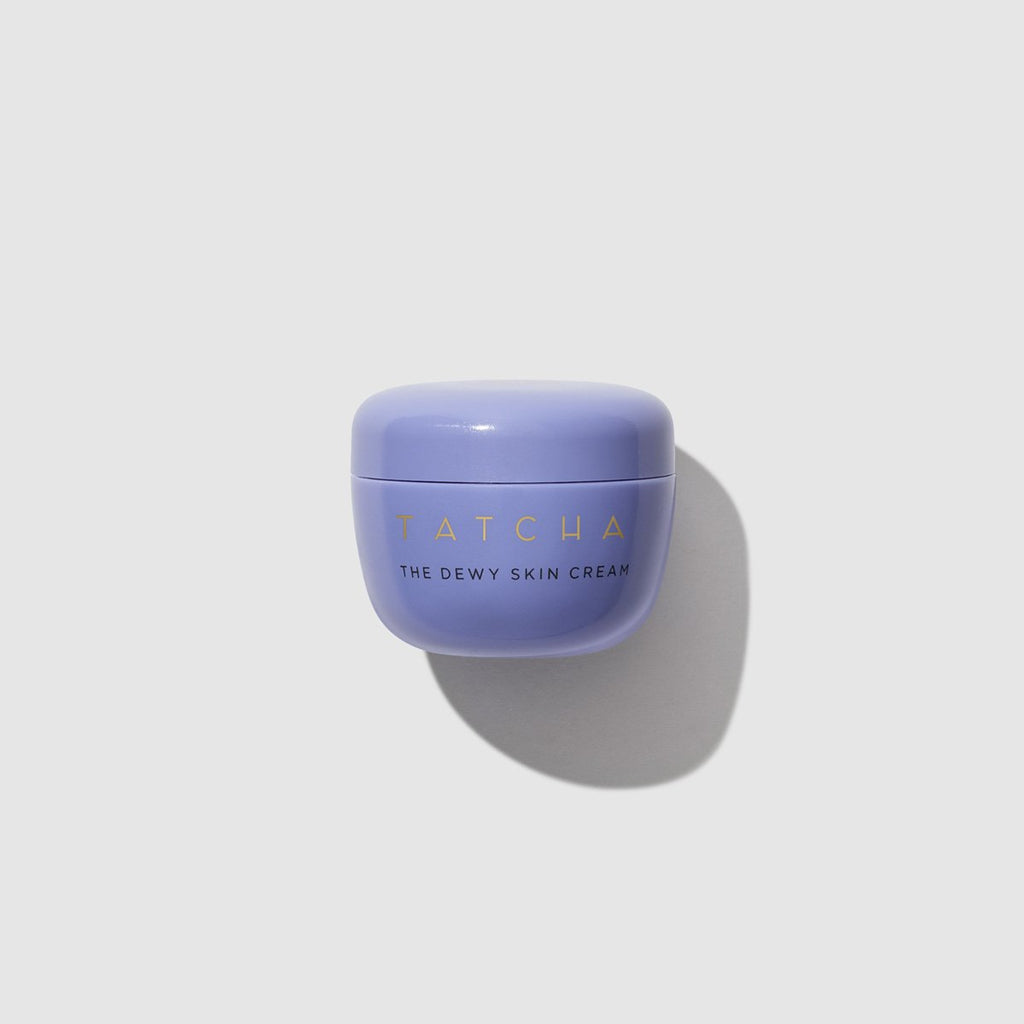 The Dewy Skin Cream Daily Face Cream for Dry Skin