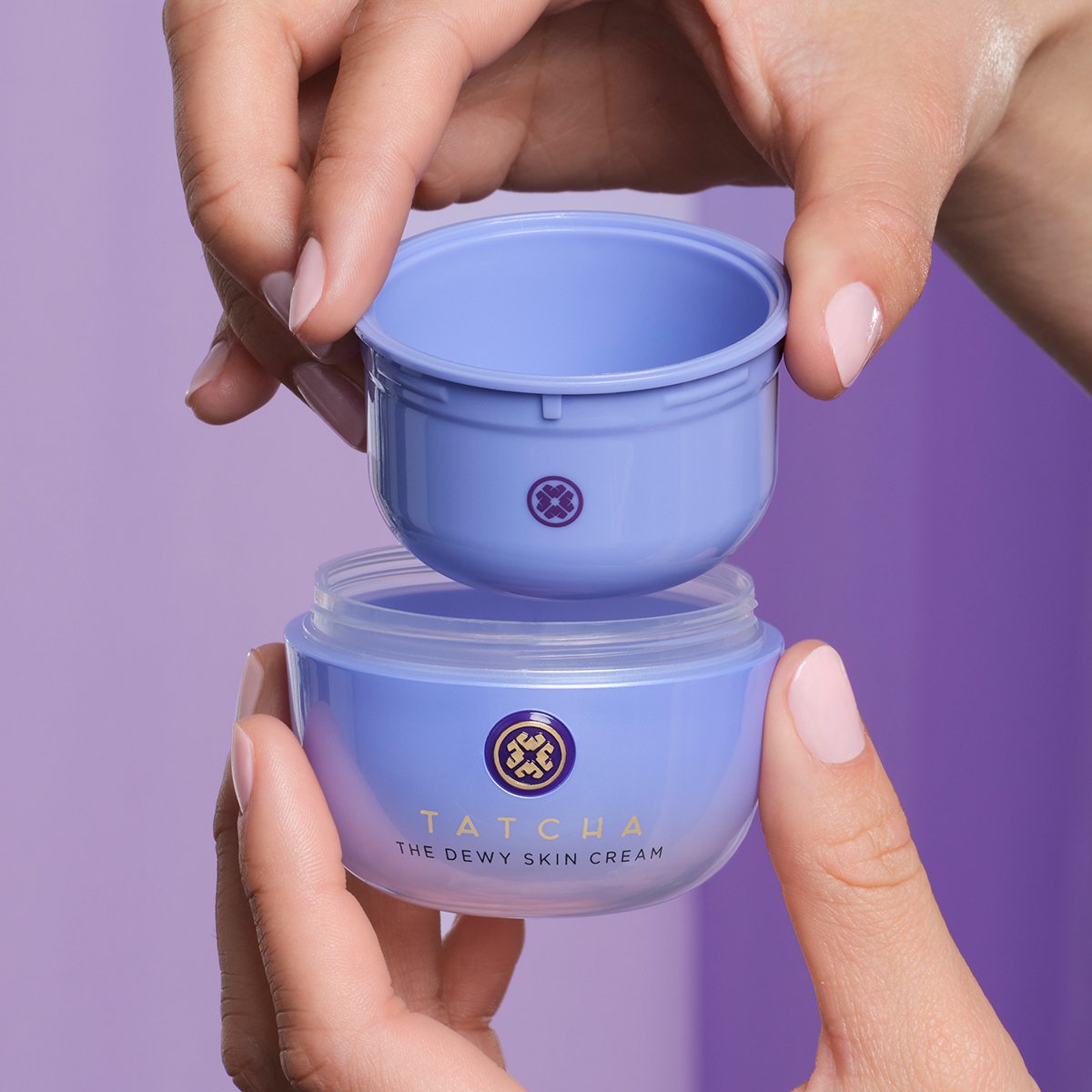 The Dewy Skin Cream Daily Face Cream for Dry Skin