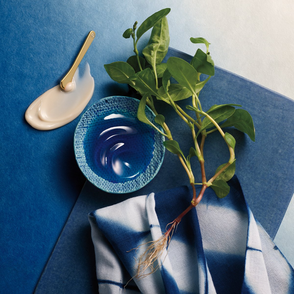 Indigo Overnight Repair Daily Skin Care Product for Delicate Skin