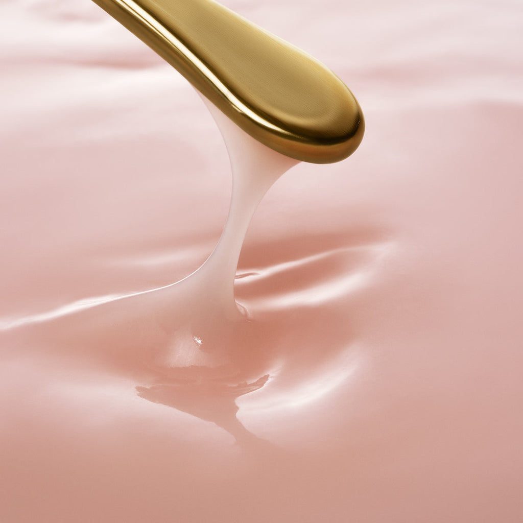 The Longevity Memory Cream Daily Face Cream for A Range of Skin Types