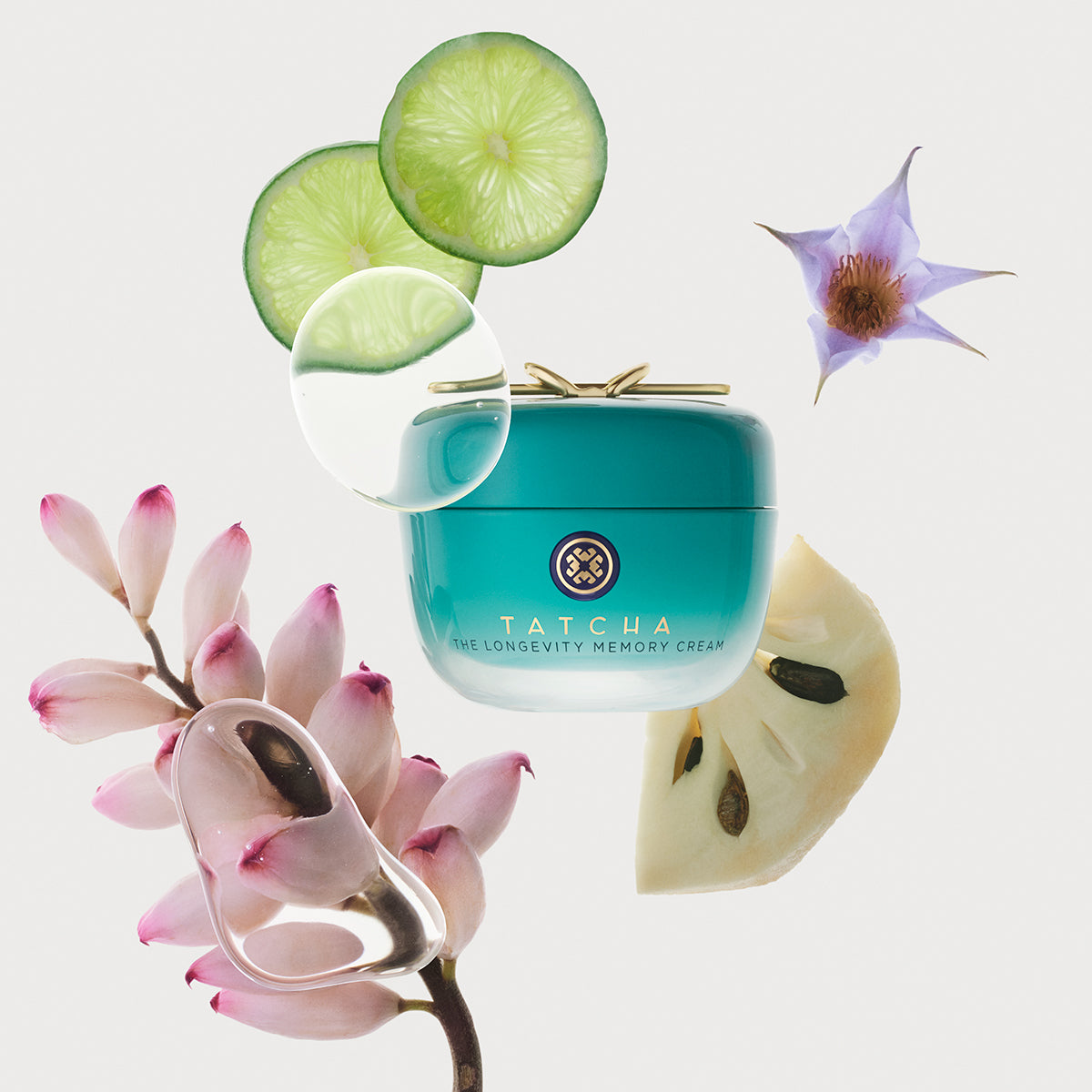 The Longevity Memory Cream Daily Face Cream for A Range of Skin Types